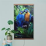 Narbius Infrarotheizung 500 Watt Bildheizung Heizbild Infrarot warm Bild Heizer Papageien 105 x 60 cm