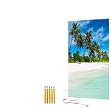 BR Bringer Bild Infrarotheizung rahmenlos - Bildheizung mit UV Druck - 60x100x1,8cm - Malediven
